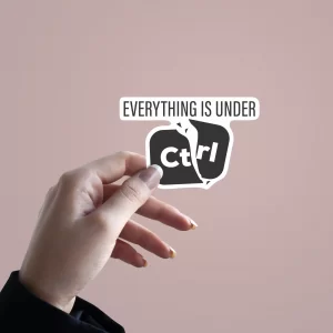 Everything is Under CTRL | Premium Quality Matt Vinyl Sticker